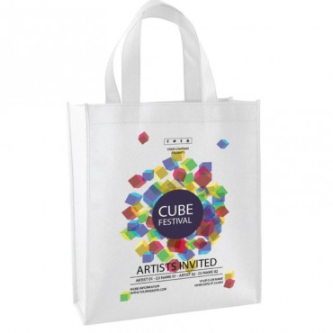 Offset Print Non Woven Bag (Large)